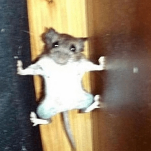 🐭Ratitas🐭 