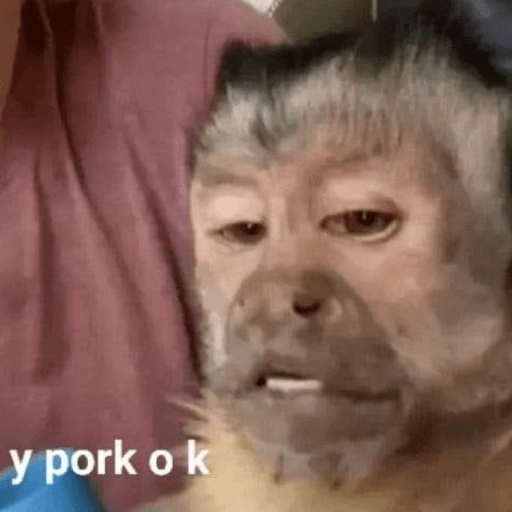 Random para la banda 🤟🏼😄 
