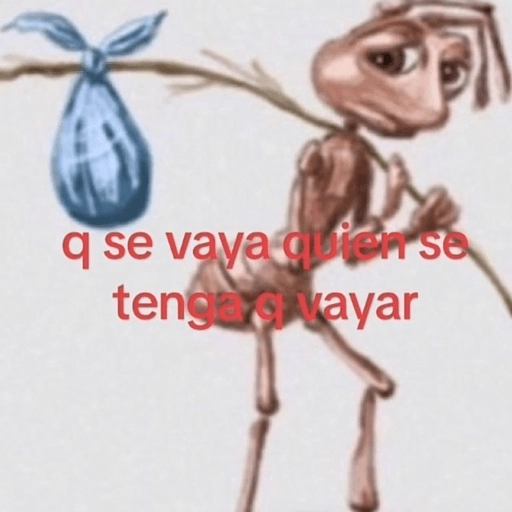 Random para la banda 🤟🏼😄 