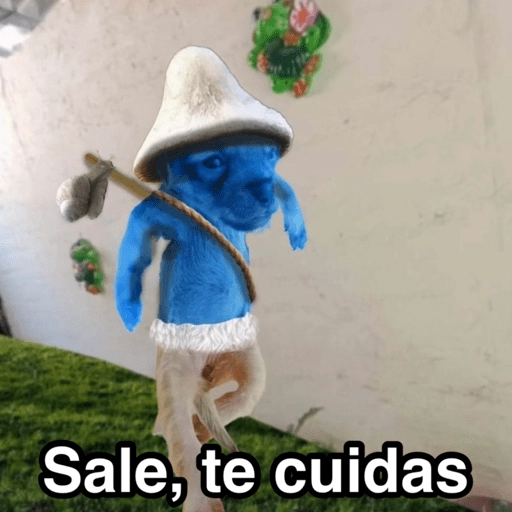 Random para la banda 🤟🏼😄 