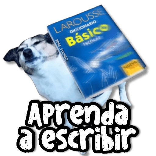 MEMES y Bobadas #➋ 😈 