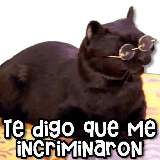 AESTHETIC Memes 9.0 👻🌷 