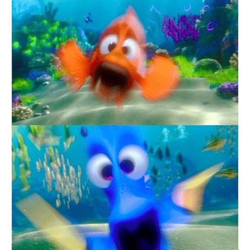 Nemo & Dory 