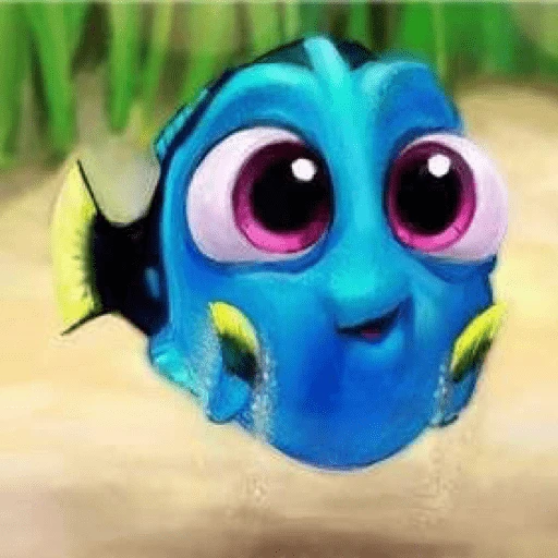 Nemo & Dory 
