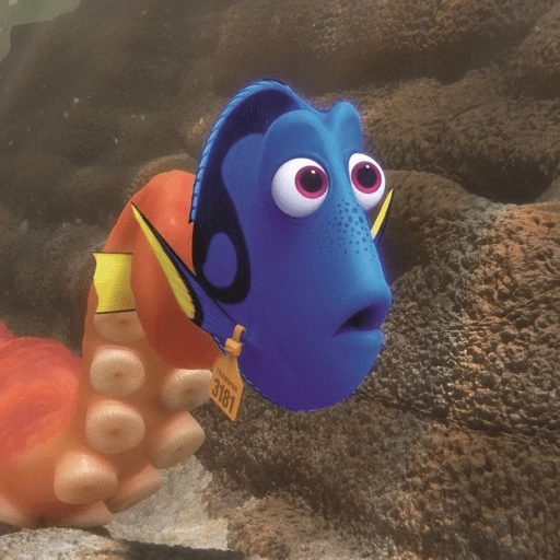 Nemo & Dory  preview