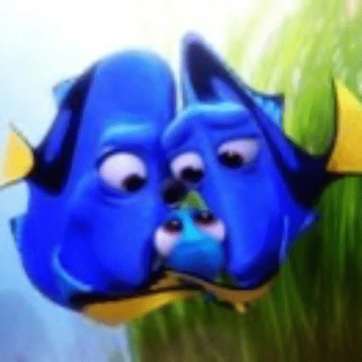Nemo & Dory 