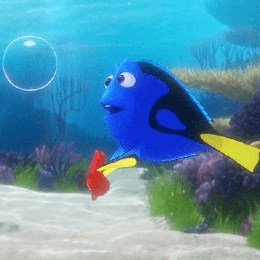 Nemo & Dory  preview