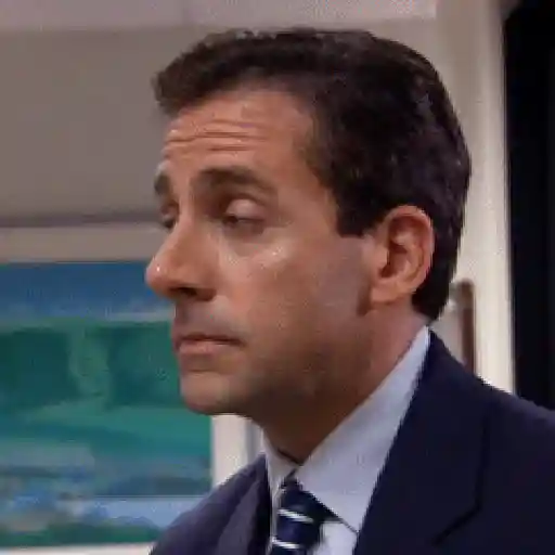Michael Scott (The office) 