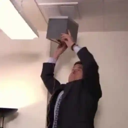 Michael Scott (The office) 