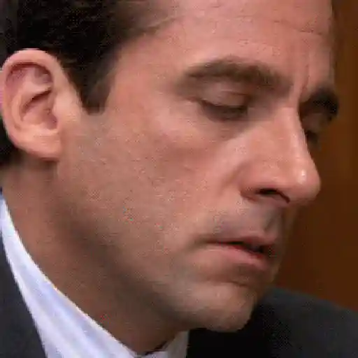Michael Scott (The office) 