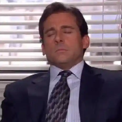 Michael Scott (The office) 
