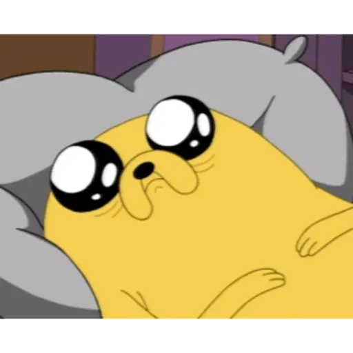 Finn y Jake HDA 05 