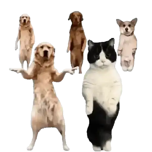 🔥Tiktok✨Dance viral💥 