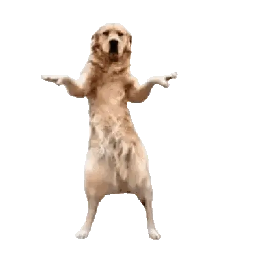 🔥Tiktok✨Dance viral💥 