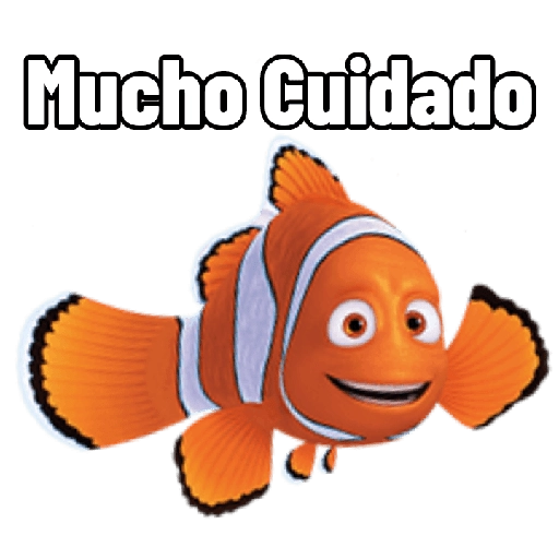 Buscando a Dory 🐟 