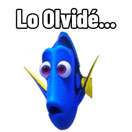 Buscando a Dory 🐟 