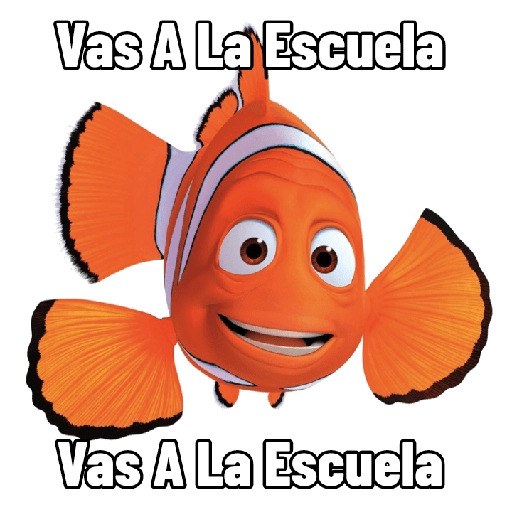 Buscando a Dory 🐟 
