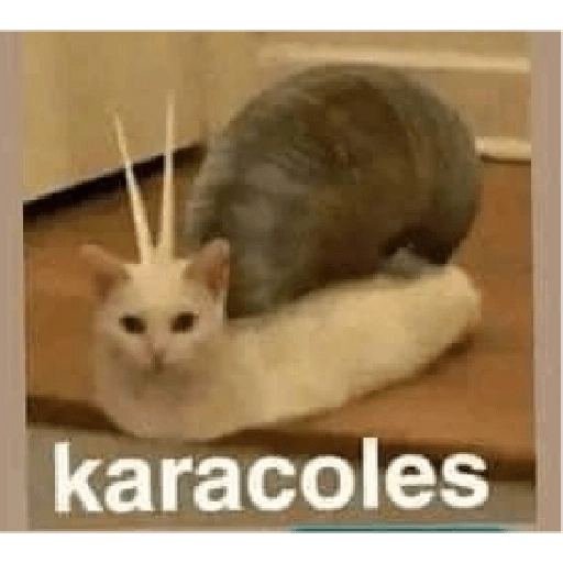 LOQUITOS 