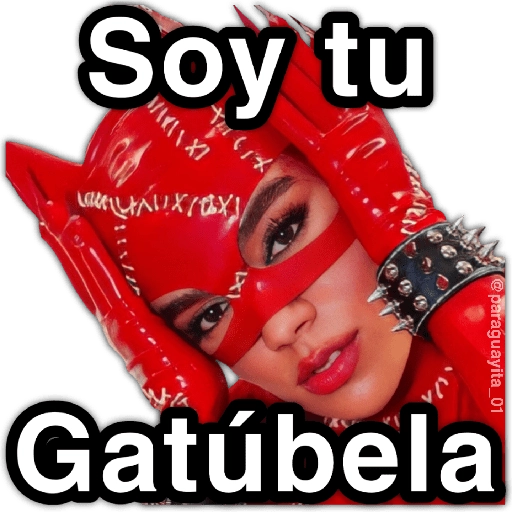 🍃🌺🌹KAROL G🌹🌺🍃 
