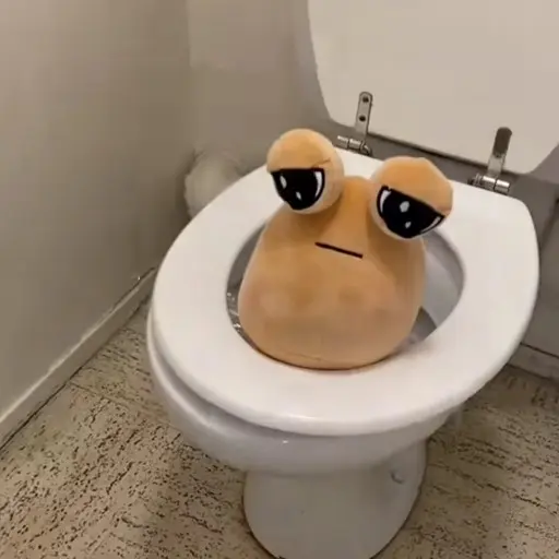 pou 