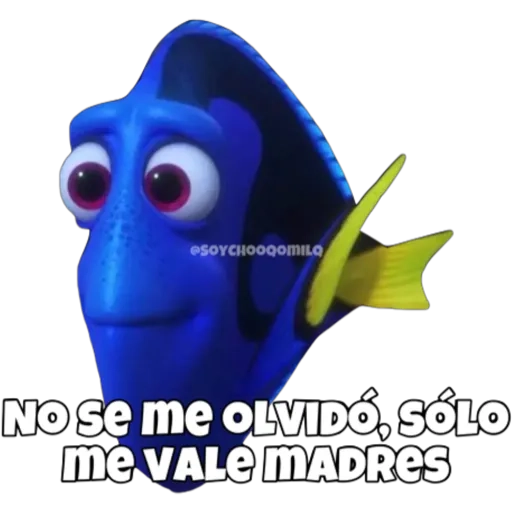 Dory olvidadiza 