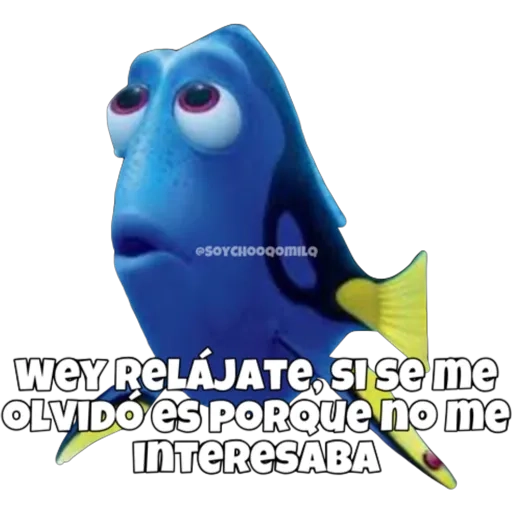 Dory olvidadiza 