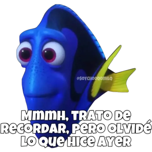 Dory olvidadiza 