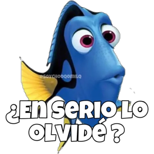 Dory olvidadiza 