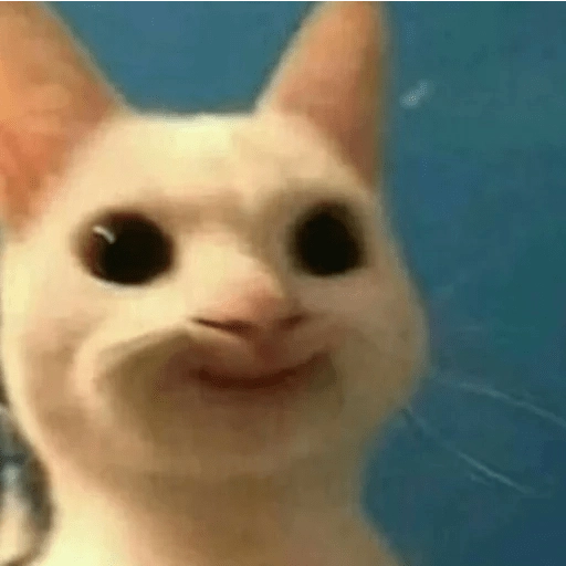 Sabés que te falta? estos🐱 