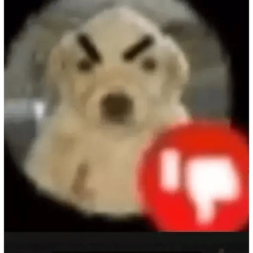 Tal vez unos memes te faltan
