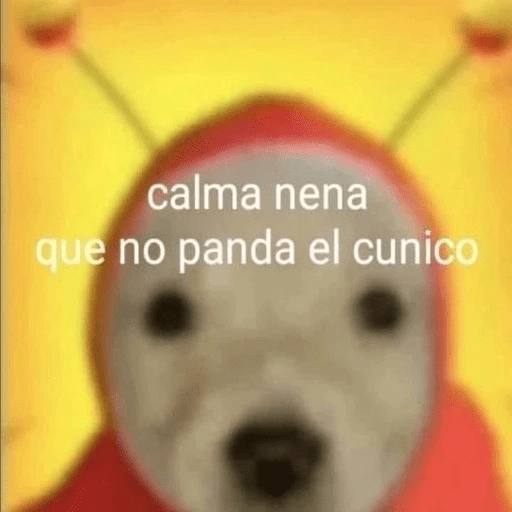 Tal vez unos memes te faltan