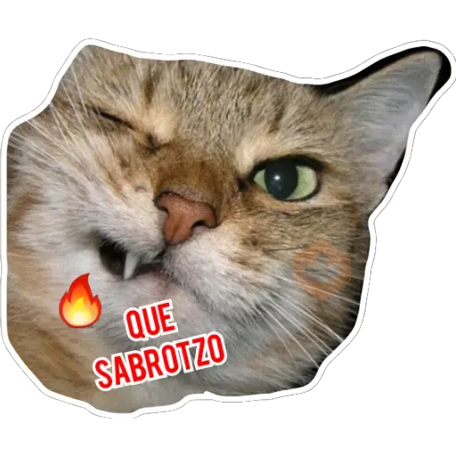 Gatos sticker 11
