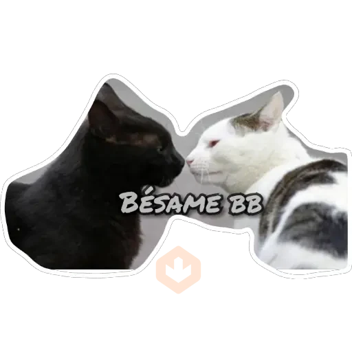 Gatos sticker 18