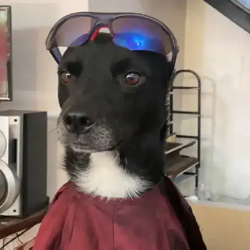 🎵 TIKTOKeando 19🎵 
