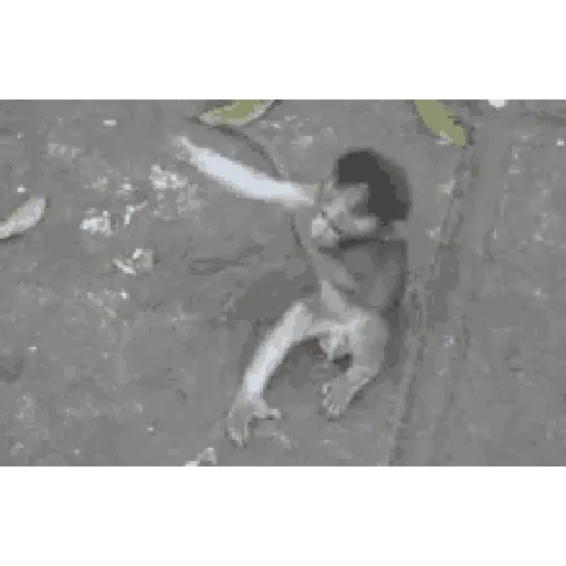 Changuitos🐒