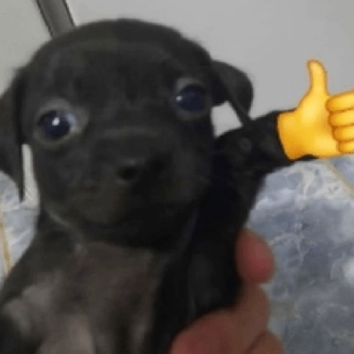 Tenga un buen día 