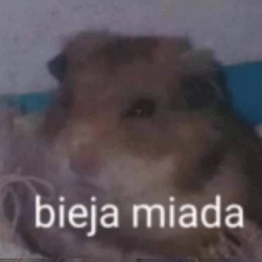 Pack Enojo Shitpost 😡🤬 
