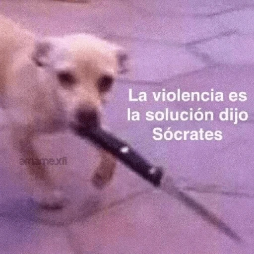 Pack Enojo Shitpost 😡🤬 