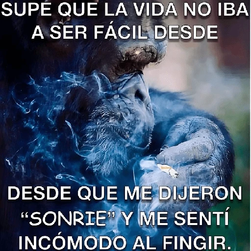 💥Shitpost 29💣 