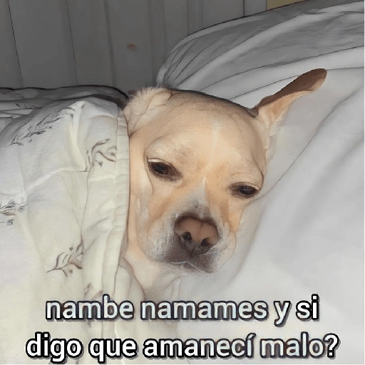 💥Shitpost 29💣 