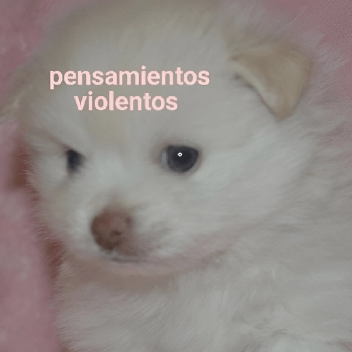 💥Shitpost 29💣 