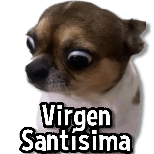 Memes Usables #2😌  preview