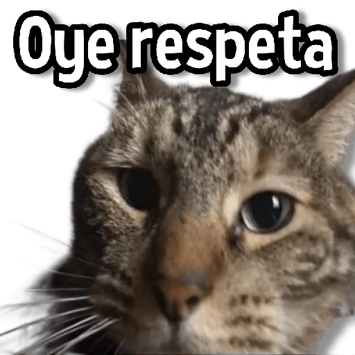 Memes Usables #2😌 