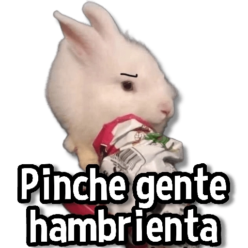 Memes Usables #2😌 