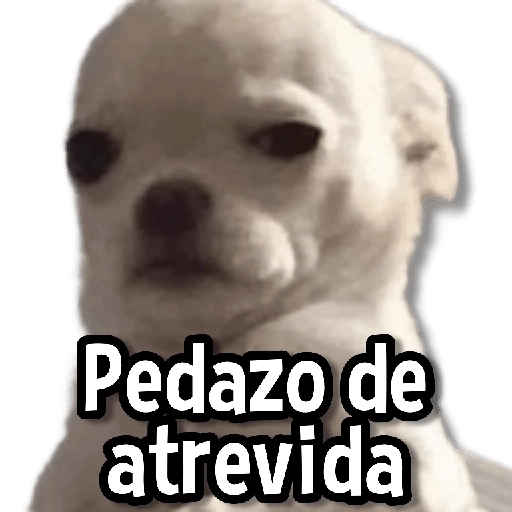 Memes Usables #2😌  preview