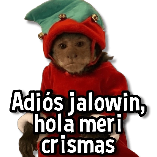 Memes Usables #2😌 