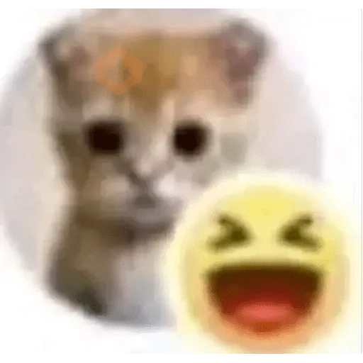 PARA ENVIAR RANDOM sticker 17