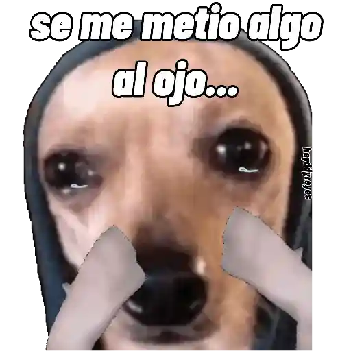 🚫•SAD 😭😢😥 