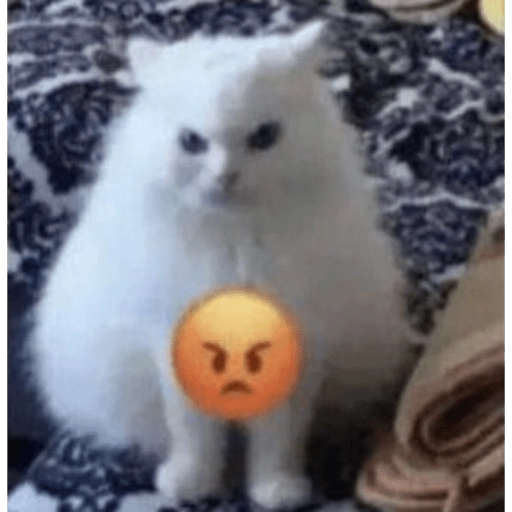 😂Gatitos Cura Depresión🙀 