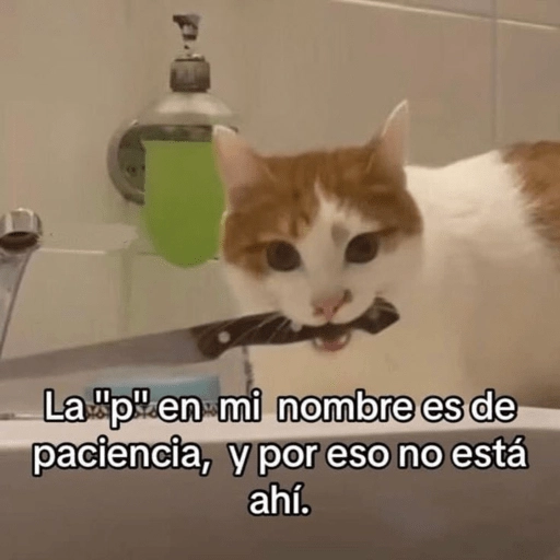 😂Gatitos Cura Depresión🙀 